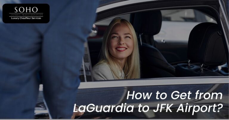 LaGuardia Airport visual data 8